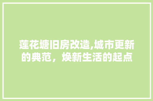 莲花塘旧房改造,城市更新的典范，焕新生活的起点