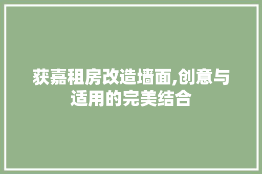 获嘉租房改造墙面,创意与适用的完美结合