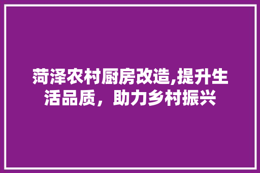 菏泽农村厨房改造,提升生活品质，助力乡村振兴