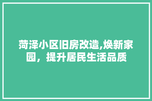 菏泽小区旧房改造,焕新家园，提升居民生活品质