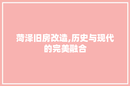 菏泽旧房改造,历史与现代的完美融合
