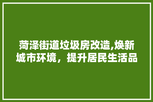 菏泽街道垃圾房改造,焕新城市环境，提升居民生活品质