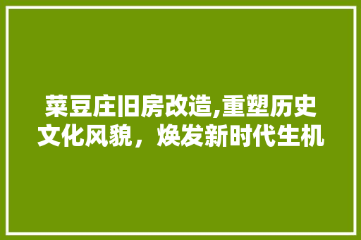菜豆庄旧房改造,重塑历史文化风貌，焕发新时代生机