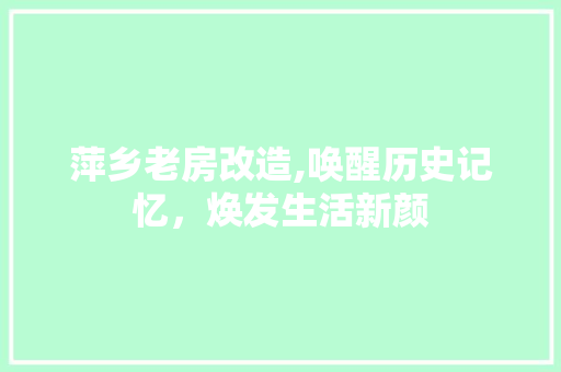 萍乡老房改造,唤醒历史记忆，焕发生活新颜