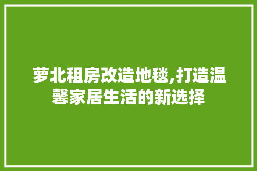 萝北租房改造地毯,打造温馨家居生活的新选择