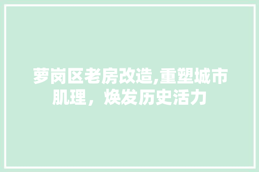 萝岗区老房改造,重塑城市肌理，焕发历史活力