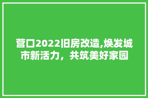 营口2022旧房改造,焕发城市新活力，共筑美好家园