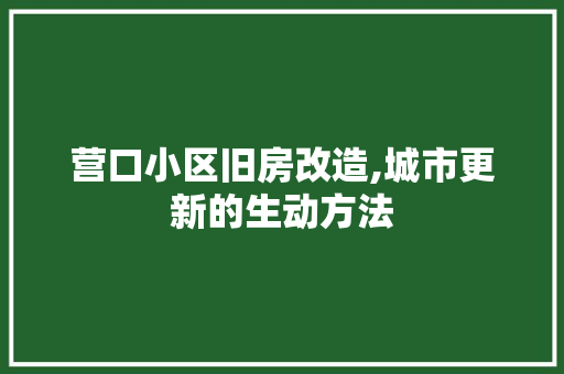 营口小区旧房改造,城市更新的生动方法