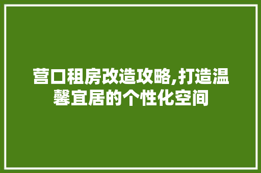 营口租房改造攻略,打造温馨宜居的个性化空间