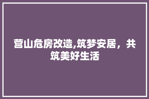 营山危房改造,筑梦安居，共筑美好生活
