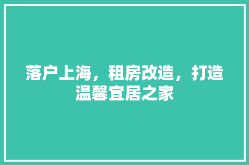 落户上海，租房改造，打造温馨宜居之家