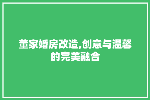 董家婚房改造,创意与温馨的完美融合