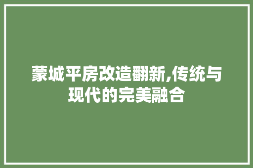 蒙城平房改造翻新,传统与现代的完美融合