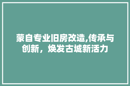 蒙自专业旧房改造,传承与创新，焕发古城新活力