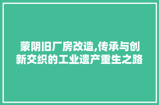 蒙阴旧厂房改造,传承与创新交织的工业遗产重生之路