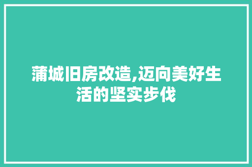 蒲城旧房改造,迈向美好生活的坚实步伐