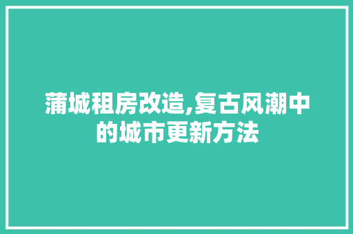 蒲城租房改造,复古风潮中的城市更新方法