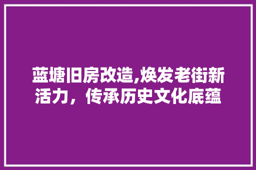 蓝塘旧房改造,焕发老街新活力，传承历史文化底蕴