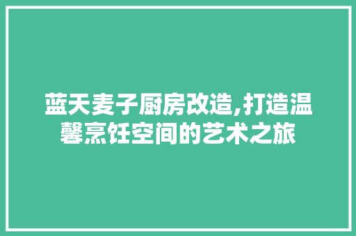 蓝天麦子厨房改造,打造温馨烹饪空间的艺术之旅 家电维修