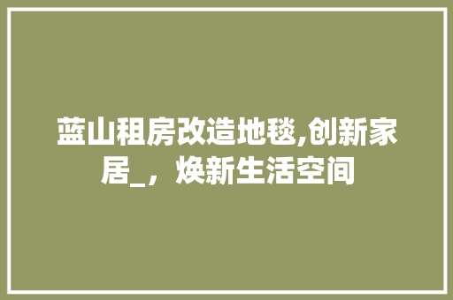 蓝山租房改造地毯,创新家居_，焕新生活空间