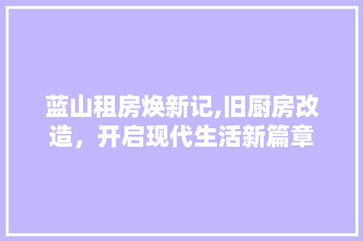 蓝山租房焕新记,旧厨房改造，开启现代生活新篇章 墙体维修