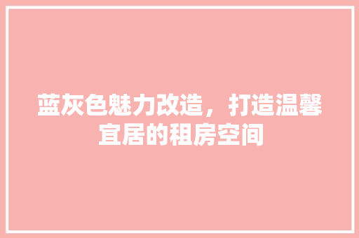 蓝灰色魅力改造，打造温馨宜居的租房空间