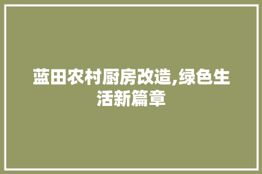 蓝田农村厨房改造,绿色生活新篇章 墙体维修