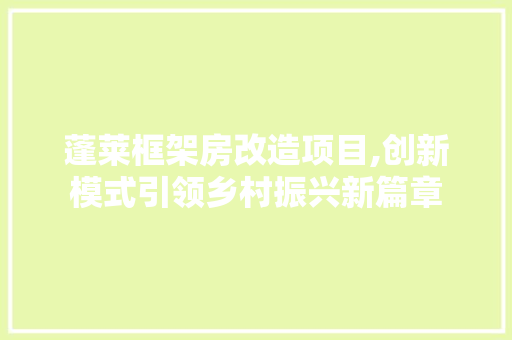 蓬莱框架房改造项目,创新模式引领乡村振兴新篇章