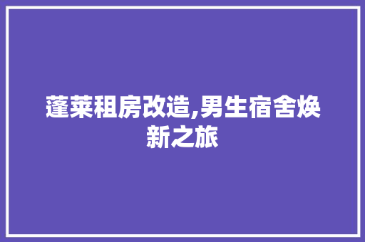 蓬莱租房改造,男生宿舍焕新之旅