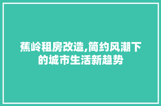 蕉岭租房改造,简约风潮下的城市生活新趋势 居家维修