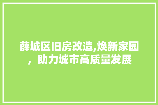 薛城区旧房改造,焕新家园，助力城市高质量发展