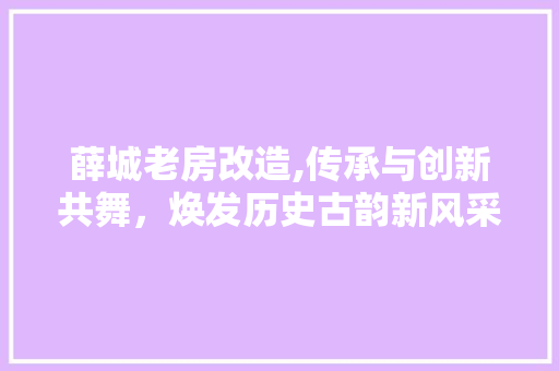 薛城老房改造,传承与创新共舞，焕发历史古韵新风采