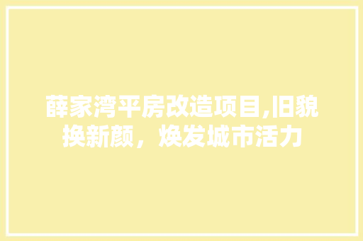 薛家湾平房改造项目,旧貌换新颜，焕发城市活力