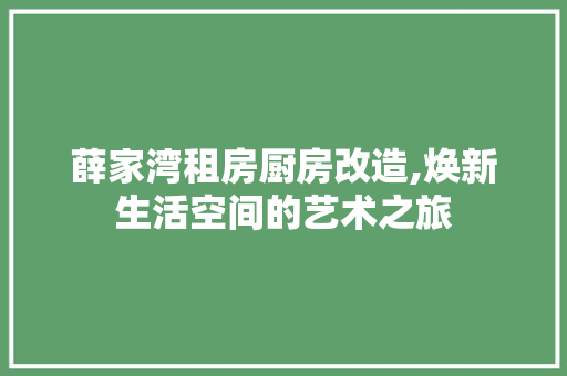 薛家湾租房厨房改造,焕新生活空间的艺术之旅