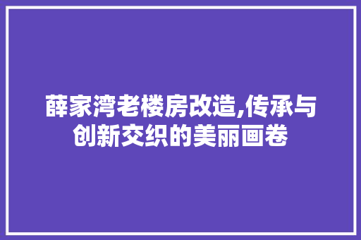 薛家湾老楼房改造,传承与创新交织的美丽画卷
