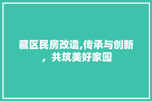 藏区民房改造,传承与创新，共筑美好家园