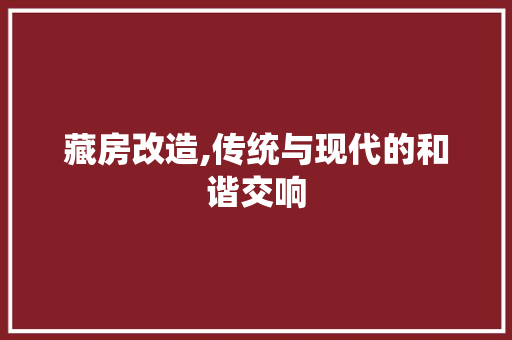 藏房改造,传统与现代的和谐交响