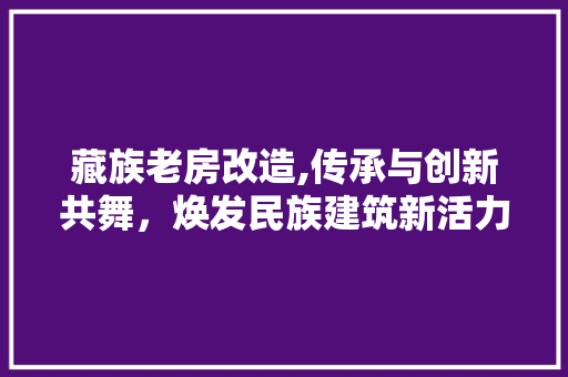 藏族老房改造,传承与创新共舞，焕发民族建筑新活力