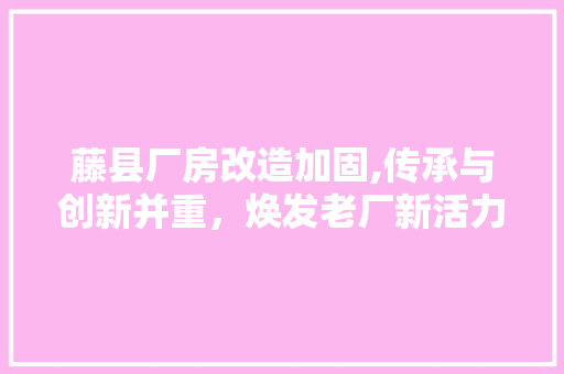 藤县厂房改造加固,传承与创新并重，焕发老厂新活力