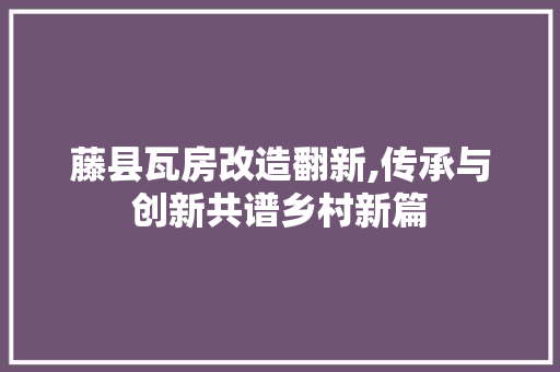 藤县瓦房改造翻新,传承与创新共谱乡村新篇