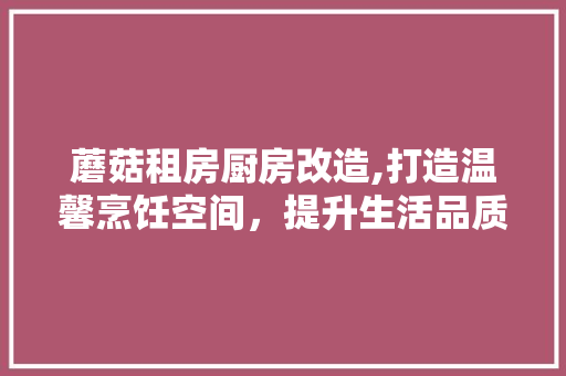 蘑菇租房厨房改造,打造温馨烹饪空间，提升生活品质