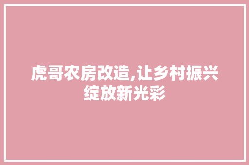 虎哥农房改造,让乡村振兴绽放新光彩 居家维修