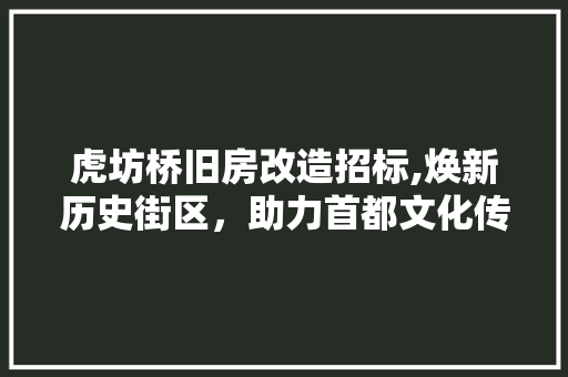 虎坊桥旧房改造招标,焕新历史街区，助力首都文化传承与发展 厨房维修