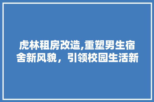 虎林租房改造,重塑男生宿舍新风貌，引领校园生活新潮流 墙体维修