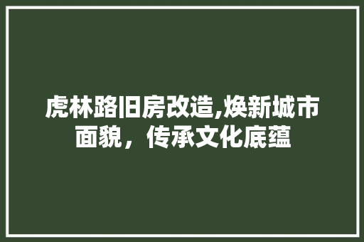 虎林路旧房改造,焕新城市面貌，传承文化底蕴 厨房维修