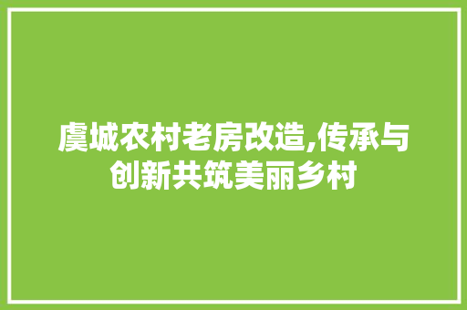 虞城农村老房改造,传承与创新共筑美丽乡村