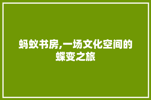 蚂蚁书房,一场文化空间的蝶变之旅