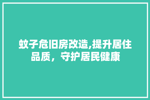 蚊子危旧房改造,提升居住品质，守护居民健康