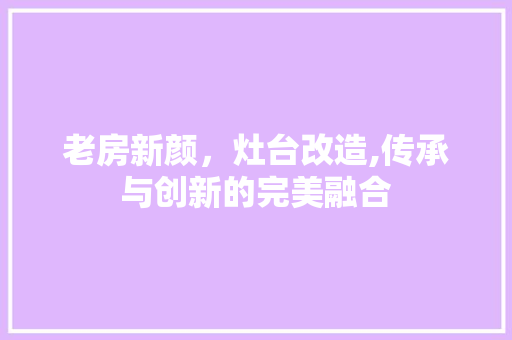 老房新颜，灶台改造,传承与创新的完美融合