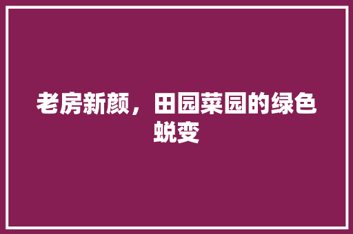 老房新颜，田园菜园的绿色蜕变